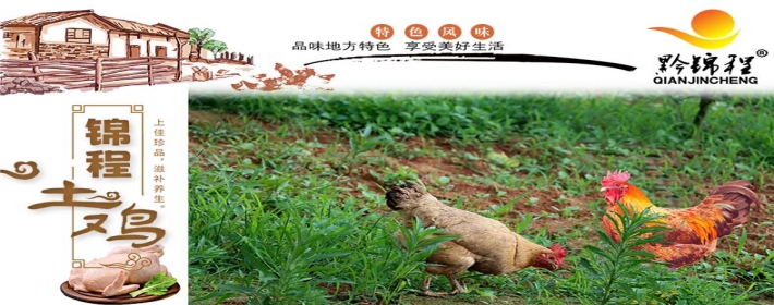 锦程土鸡 上墙-定版222.jpg